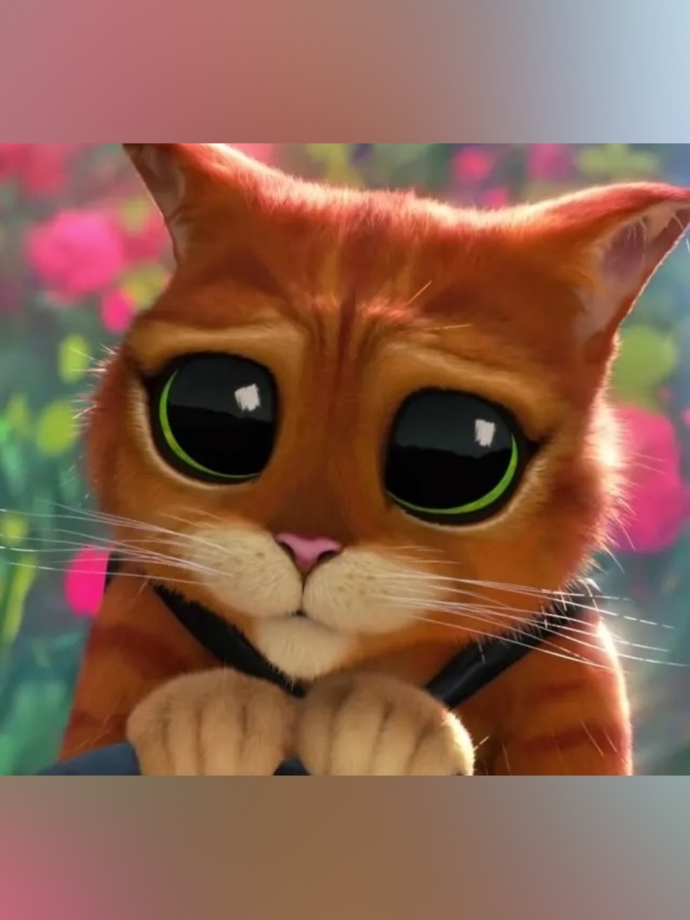 😻😻😿 @NewSmiles 😿😻😻 - Picture 2 of 3
